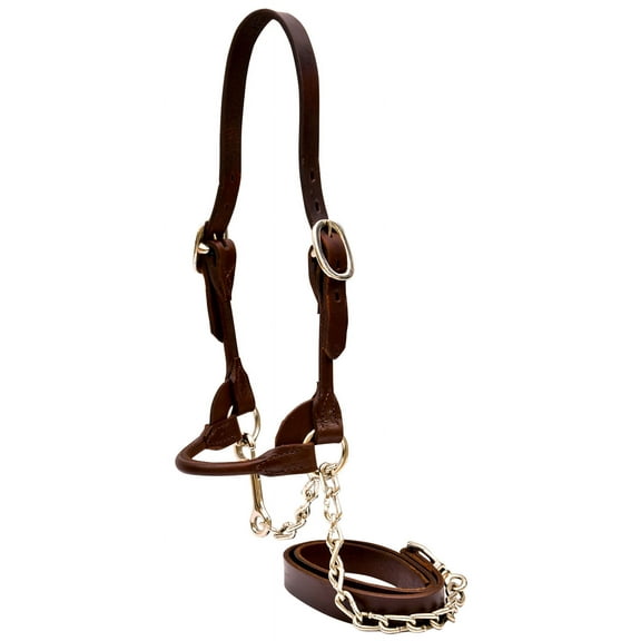 Weaver Leather Livestock Dairy/Beef Rounded Show Halter Brown ,Small