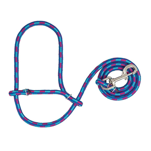 Weaver Leather Livestock Poly Rope Sheep Halter with Snap, Hurricane Blue/Royal Blue/Rose, Average