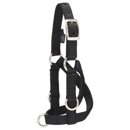 Weaver Leather Livestock Sheep & Goat Training Halter