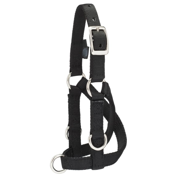 Weaver Leather Livestock Sheep & Goat Training Halter