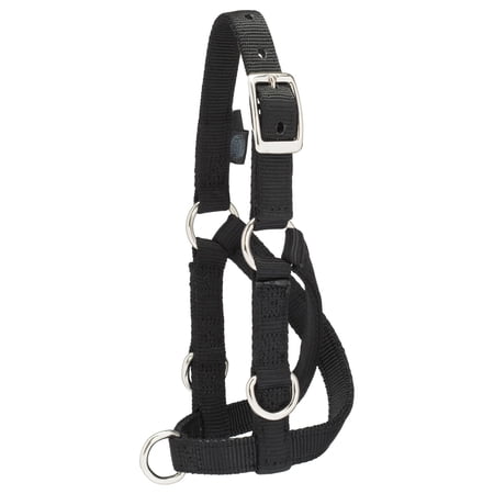Weaver Leather Livestock Sheep and Goat Treadmill Halter