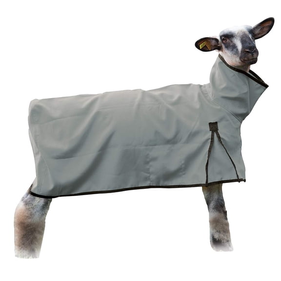 Weaver Solid Butt Sheep Blanket XL Grey