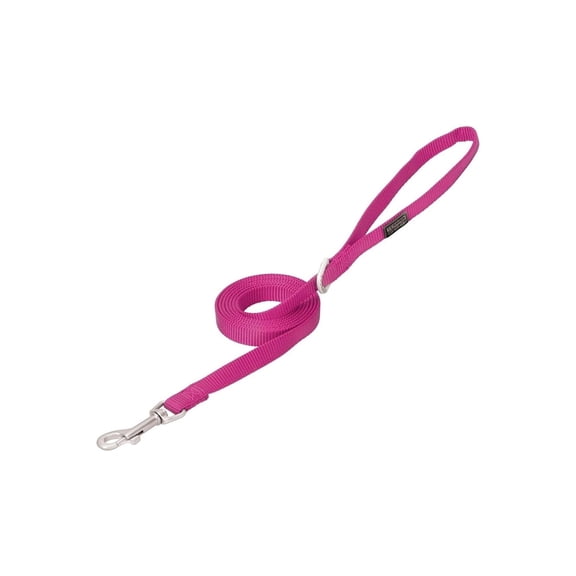 Weaver Leather Nylon Dog Leash: Durable & Stylish for Adventures! Purple / 3/4" x 6'