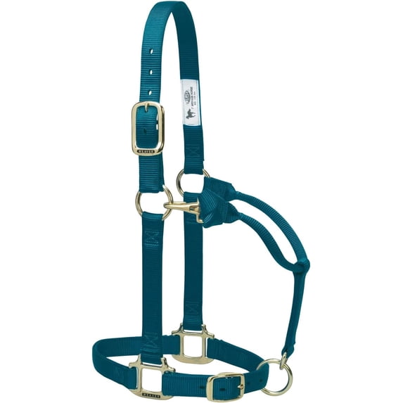 Weaver Leather Horse Halter: Adjustable Nylon for Comfort & Durability Hurricane Blue / Small Horse