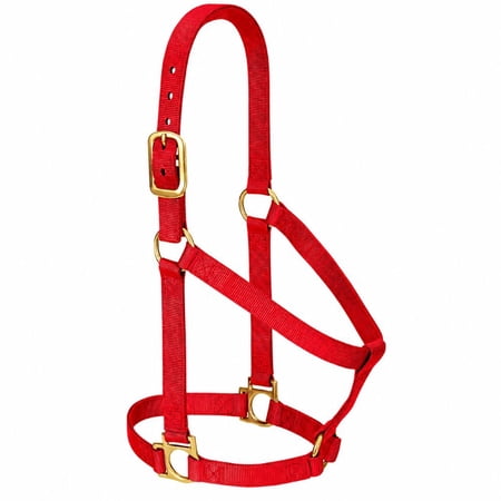 Weaver Leather Adjustable Nylon Halter - Triple-Ply Brass Hardware Red / Yearling