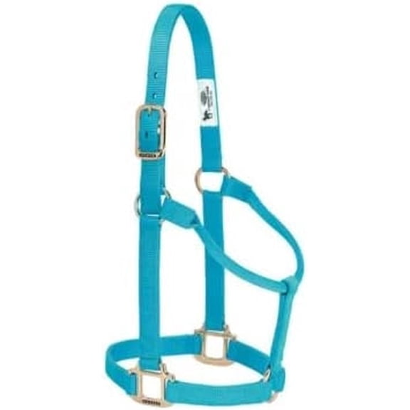 Weaver Leather Original Non-Adjustable 1" Horse Halter - Turquoise (Sell out) Large