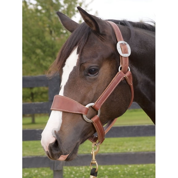 Weaver Leather Bronc Halter - Heavy-Duty Stainless Steel
