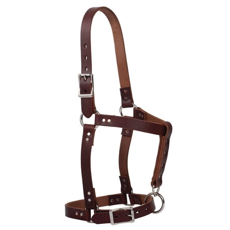 Weaver Leather Western Horse Riveted Genuine Leather Halter Brown