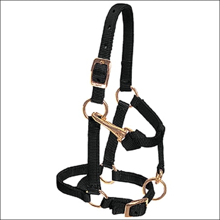 Weaver Leather Mini Horse Halter – 5/8" Nylon, Adjustable Fit Black / Average