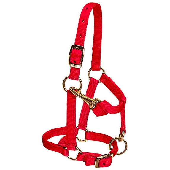 Weaver Mini Adj Nylon Halter Brass L Red