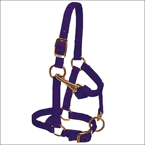 Weaver Mini Adj Nylon Halter Brass Lrg Mini Purple