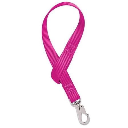 Weaver Nylon Bucket Strap: Secure & Organize Your Barn! Raspberry