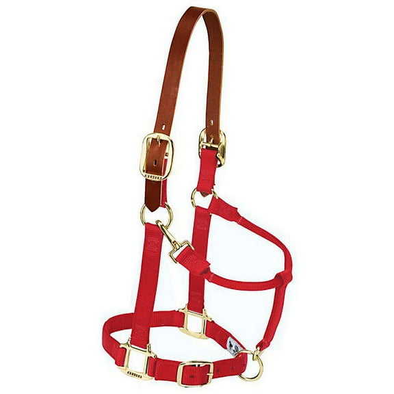 Weaver Org Breakaway Adj Halter Average Red
