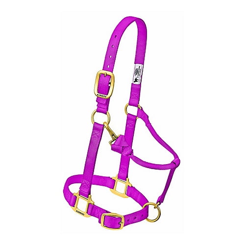 Weaver Leather Horse Halter: Adjustable Nylon for Comfort & Durability Raspberry / Average Horse