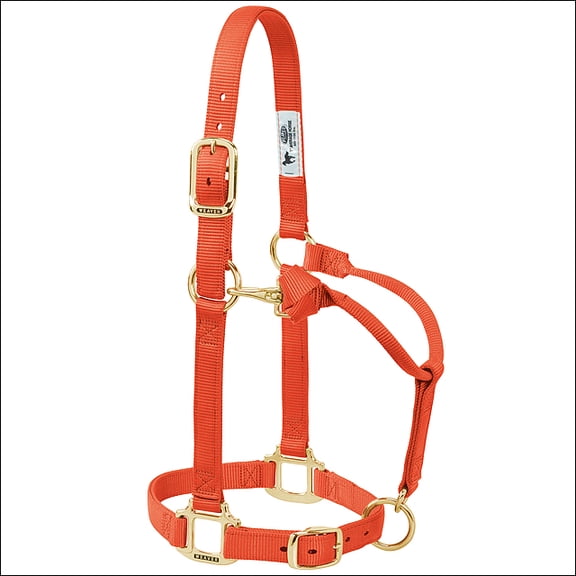 Weaver Leather Horse Halter: Adjustable Nylon for Comfort & Durability Orange / Yearling