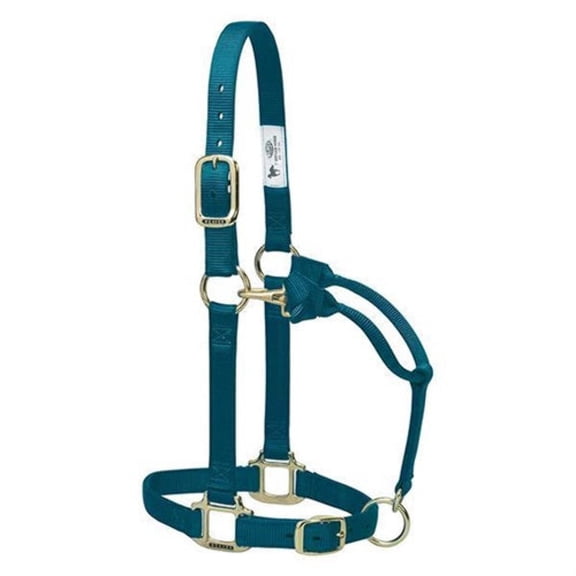 Weaver Leather Horse Halter: Adjustable Nylon for Comfort & Durability Teal Green / Yearling
