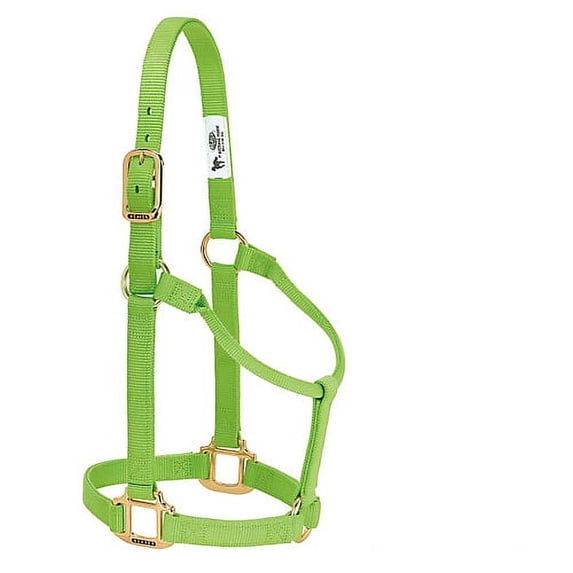 Weaver Original Nylon Halter AVG Lime Zest