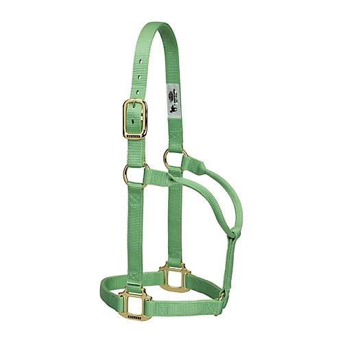 Weaver Original Nylon Halter AVG Pistachio Green