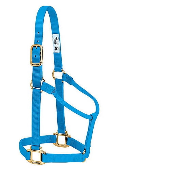 Weaver Leather Original Non Adjustable Halter (Hurricane Blue, Avarage Horse/Yearling Draft)