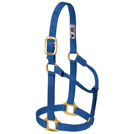 Weaver Leather Triple-Ply Nylon Halter with Solid Brass Hardware Blue / Average Horse