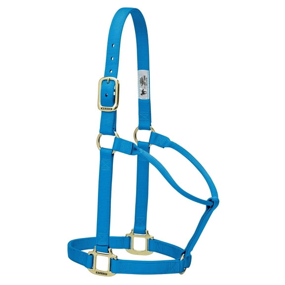 Weaver Original Nylon Halter LRG Hurricane Blue