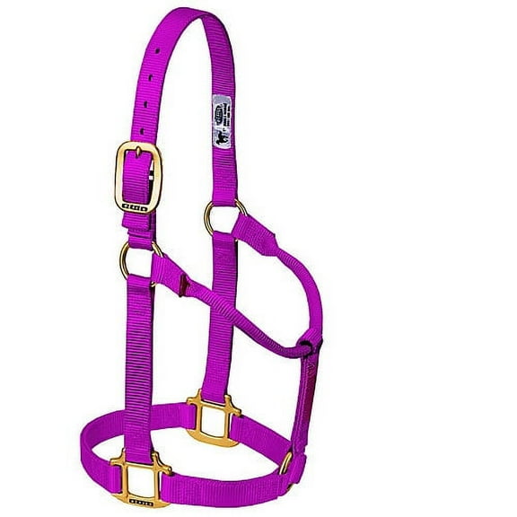 Weaver Original Nylon Halter LRG Raspberry