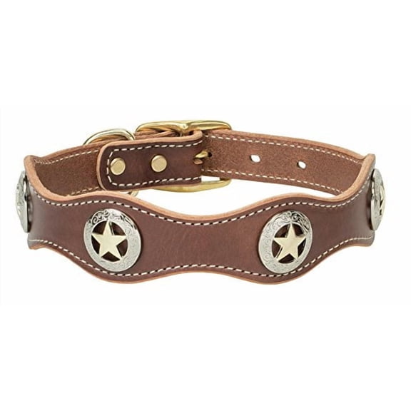 Weaver Pet Lone Star Legend Collar Sunset, 1 x 17-inch