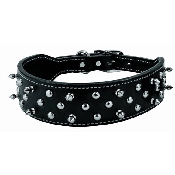 Weaver Pet Spike Collar: Stylish, Durable Leather Collar for Dogs 2" x 23"