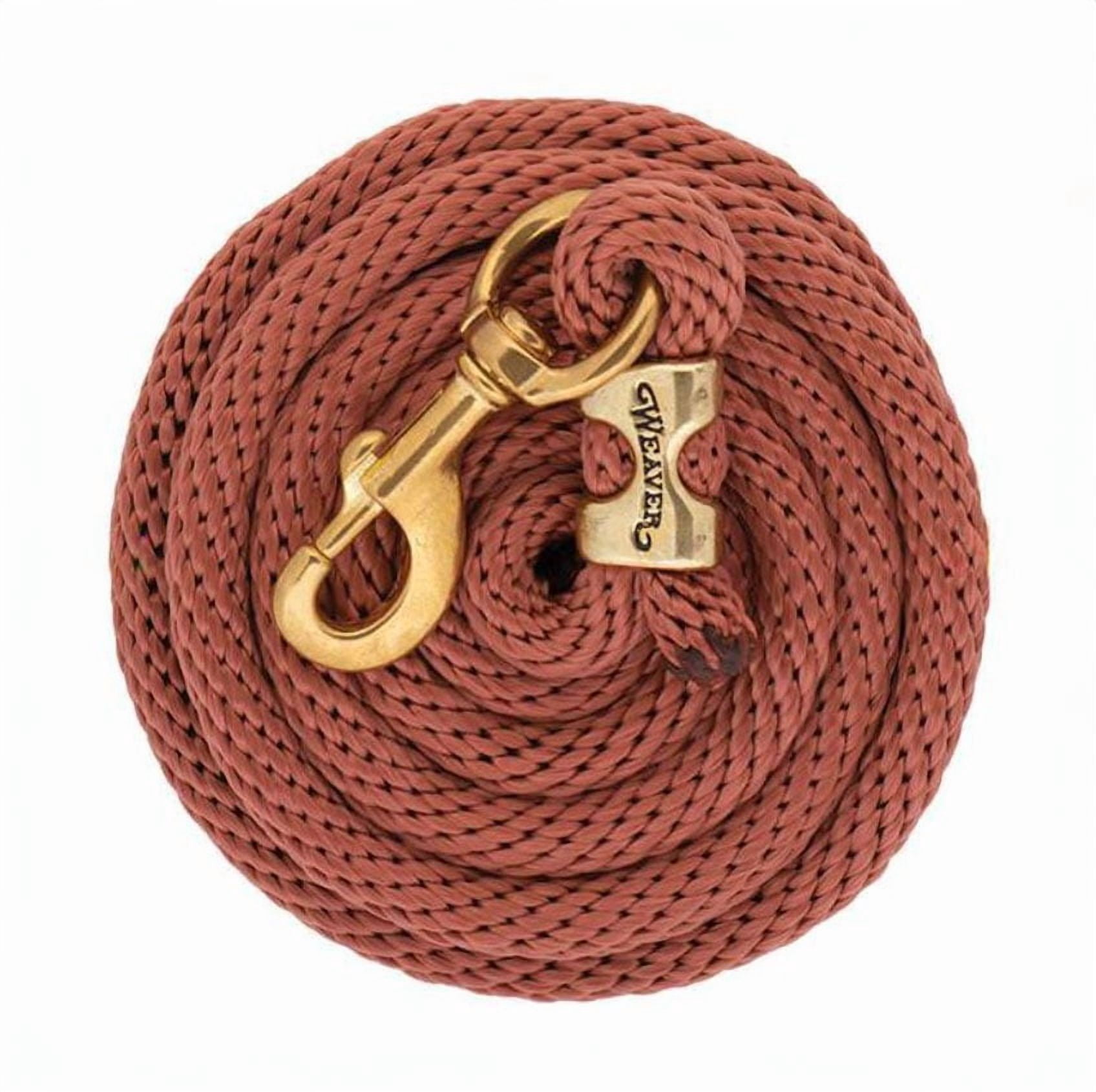 Weaver 10' Solid Poly Lead Rope with Bolt Snap, Cinnamon - Walmart.com
