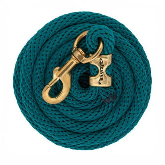 Weaver 10' Solid Poly Lead Rope with Bolt Snap, Teal