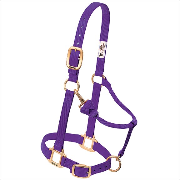 Weaver Leather Horse Halter: Adjustable Nylon for Comfort & Durability Purple / Small Horse