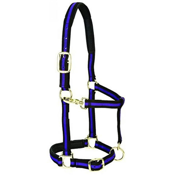 Weaver Leather Nylon Horse Halter, Padded and Adjustable, Chin and Throat Snap Hook Halters for Horses, Brass Plated Halters for Training