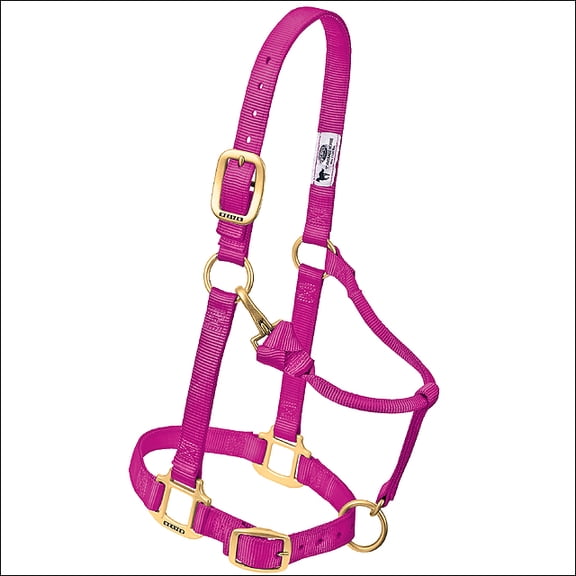 Weaver Leather Horse Halter: Adjustable Nylon for Comfort & Durability Raspberry / Small Horse