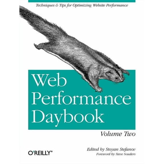 Web Performance Daybook Volume 2: Techniques and Tips for Optimizing Web Site Performance (Paperback)