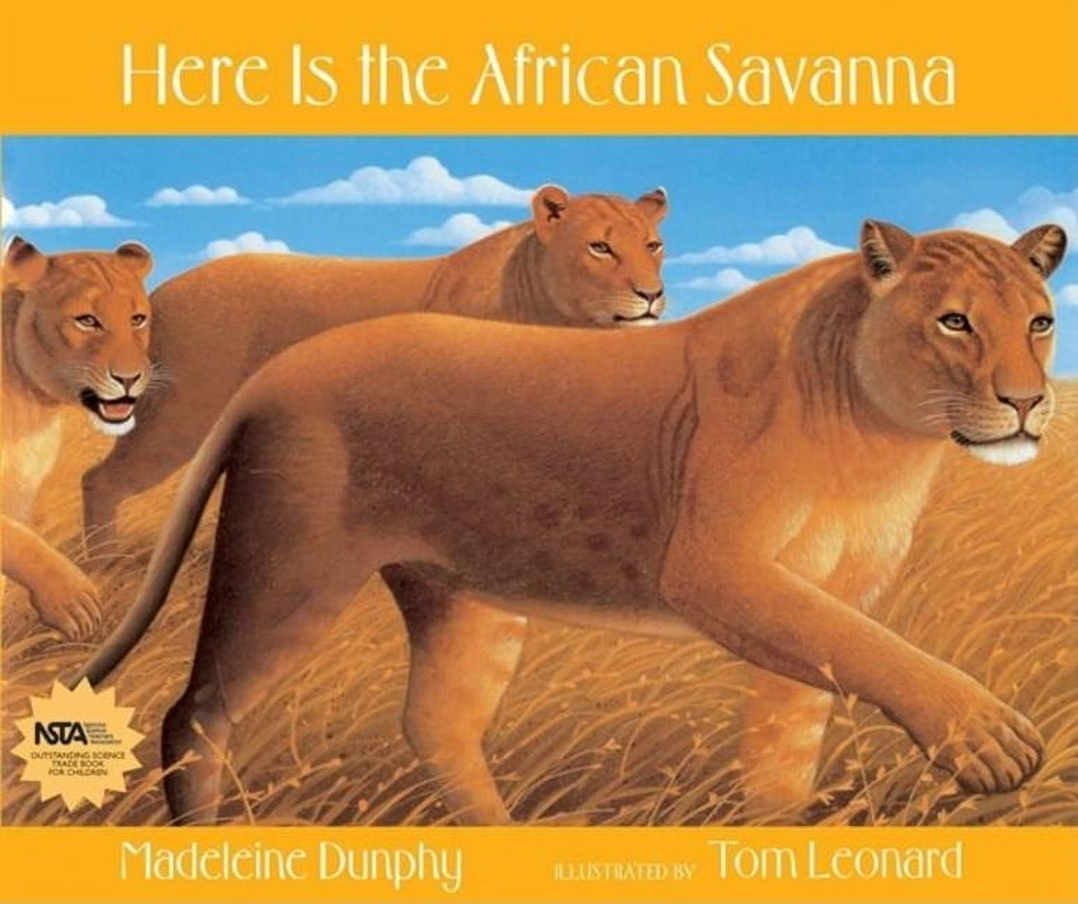 Web of Life Here Is the African Savanna, Book 2, (Paperback)