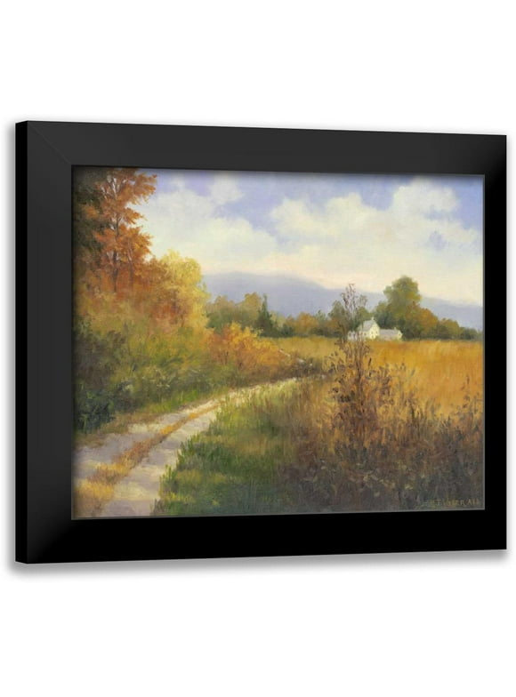 Weber, Mary Jean 14x12 Black Modern Framed Museum Art Print Titled - Autumn Country Road
