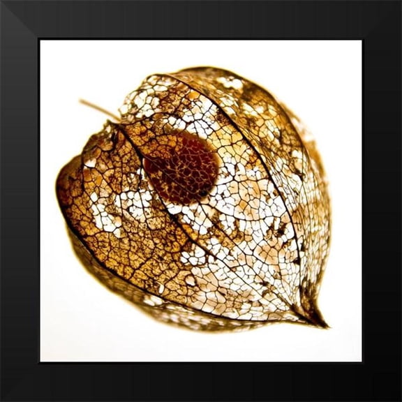 Weber, Matthias 12x12 Black Modern Framed Museum Art Print Titled - Evanescence IV