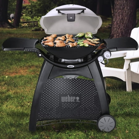Weber Q 3200 Liquid Propane Gas Grill in Titanium