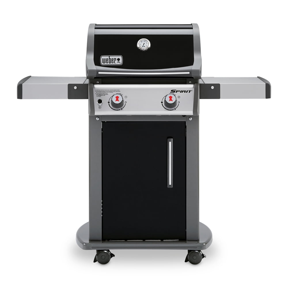 Black Stainless Steel 2-Burner Propane Gas Grill with Rotisserie