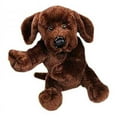 thumbnail image 1 of FMMI Webkinz Chocolate Lab, 1 of 1