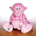 thumbnail image 1 of Webkinz Love Monkey Valentine's Day stuffed toy Brand New with Sealed Tag and Unused Code, 1 of 6