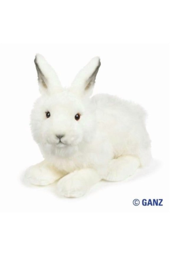 signature arctic hare with trading cards