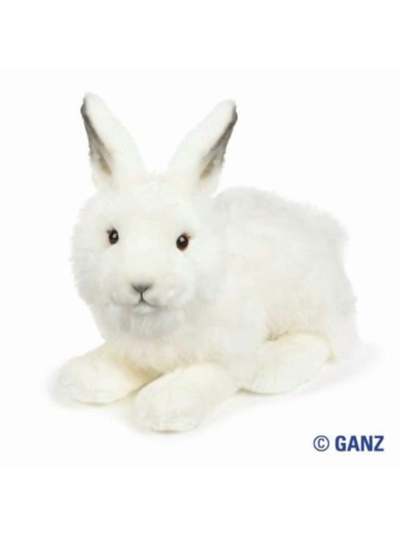 signature arctic hare with trading cards