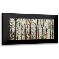 Webster, Kyle 14x9 Black Modern Framed Museum Art Print Titled - Into the Woods