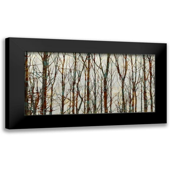 Webster, Kyle 14x9 Black Modern Framed Museum Art Print Titled - Into the Woods