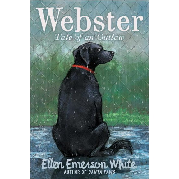 Webster : Tale of an Outlaw (Hardcover)
