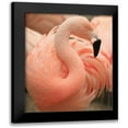 thumbnail image 1 of Wechsler, Robin 12x13 Black Modern Framed Museum Art Print Titled - Portrait Of A Pink Flamingo, 1 of 5