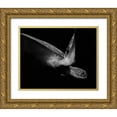 thumbnail image 1 of Wechsler, Robin 14x12 Gold Ornate Wood Framed with Double Matting Museum Art Print Titled - Portrait Of A Sea Turtle In Black And White 2, 1 of 4