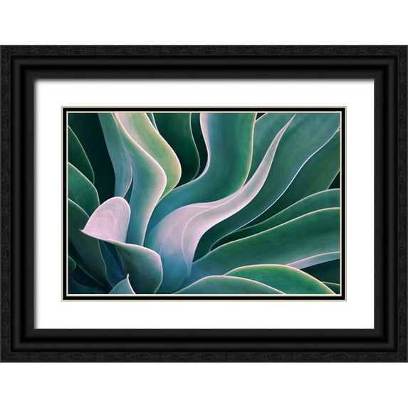 Wechsler, Robin 18x13 Black Ornate Wood Framed with Double Matting Museum Art Print Titled - Shades Of Summer