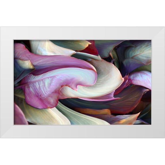 Wechsler, Robin 24x16 White Modern Wood Framed Museum Art Print Titled - The colors in leaves